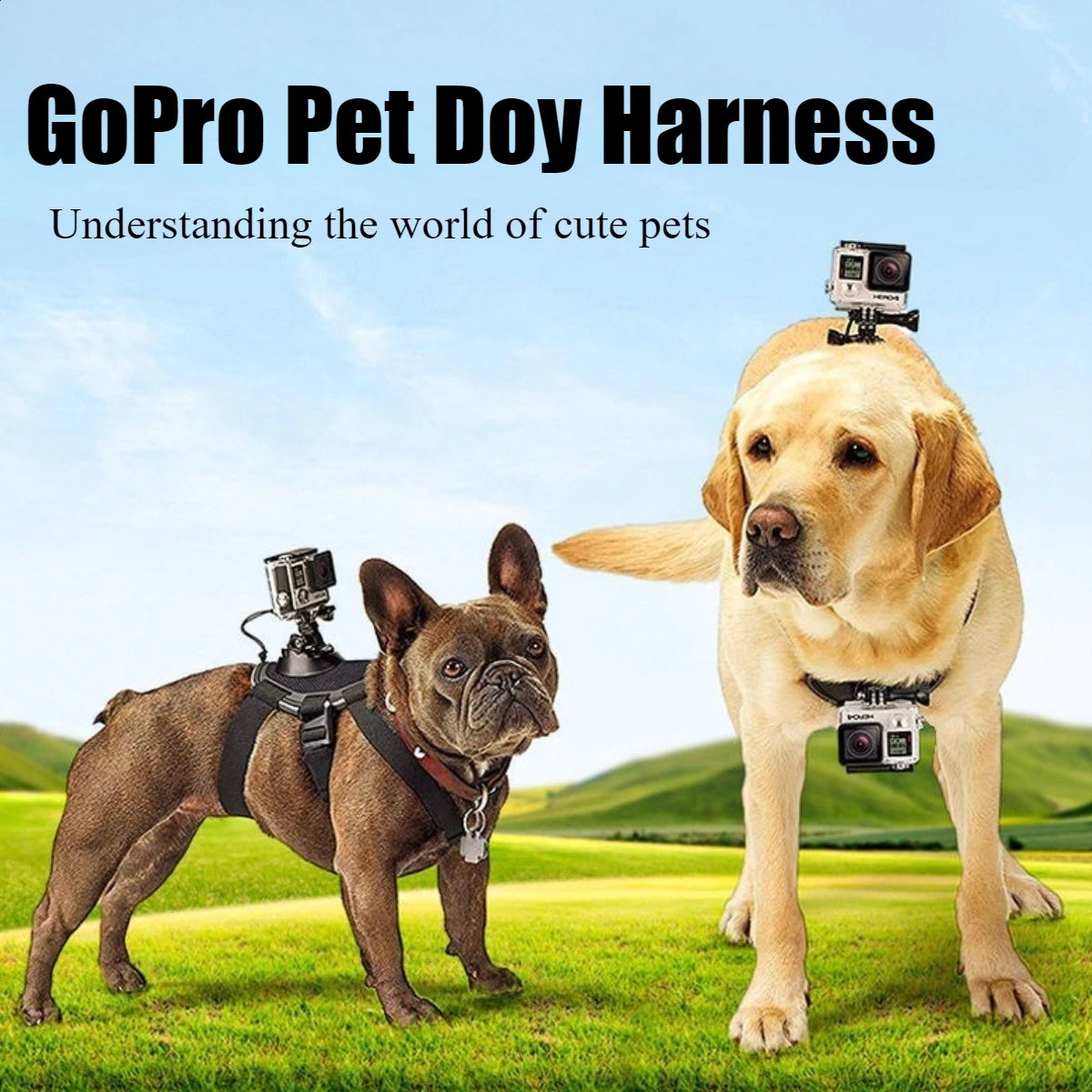 Adjustable Soft Chest Harness Mount for GoPro 12/11/10/9, DJI OSMO, and Insta360 - Suitable for Pets 7-45Kg