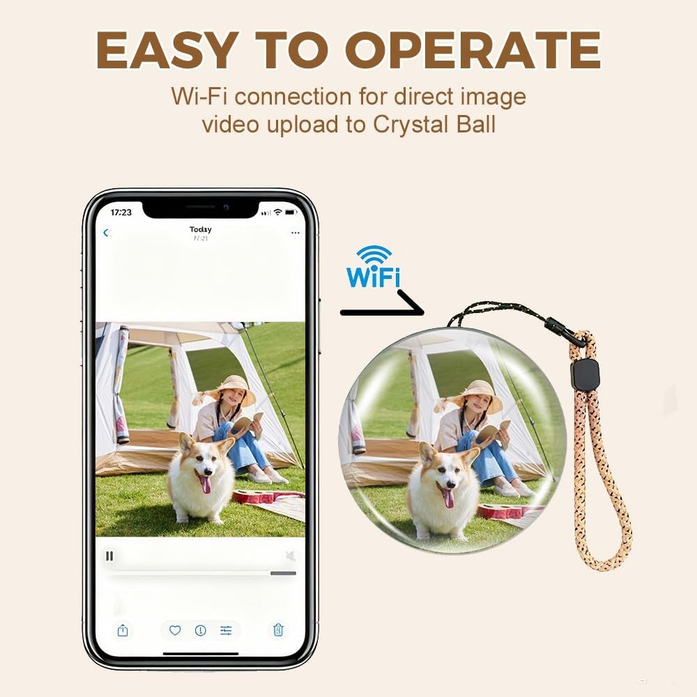 Memory Orb: 3D Ultrasound Sphere Video Player