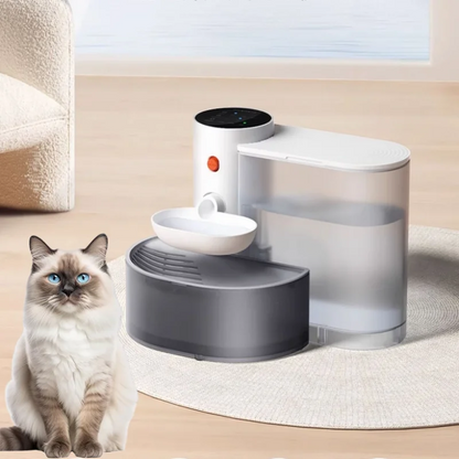 Automatic Stainless Steel Pet Water Dispenser with Purification System for Cats